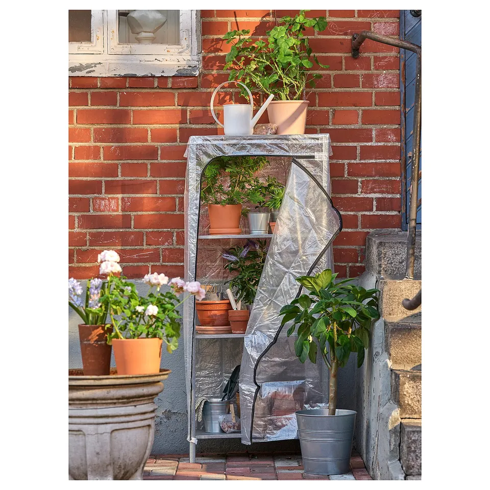 Small outdoor garden with potted plants on galvanised metal shelves against a brick wall.