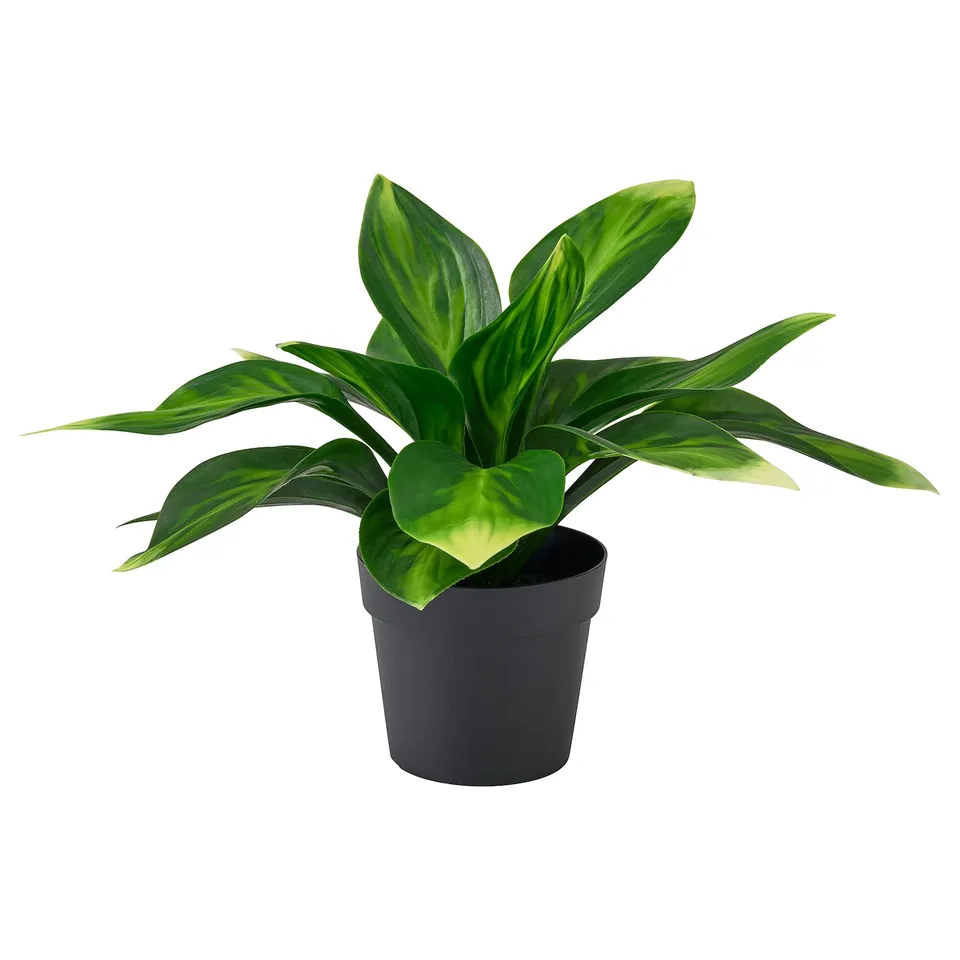 FEJKA artificial plant, green, plastic, potted, indoor decoration.