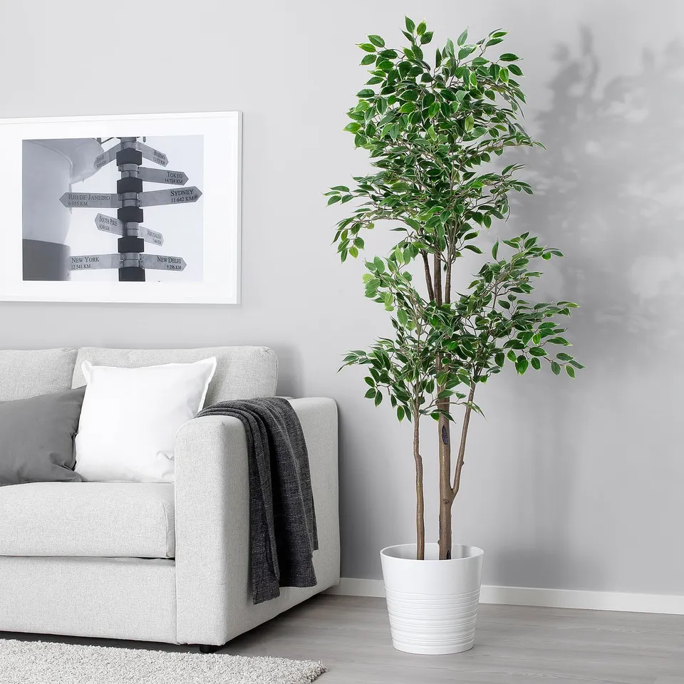 Modern living room with white sofa, grey decor, plant, road sign wall art.