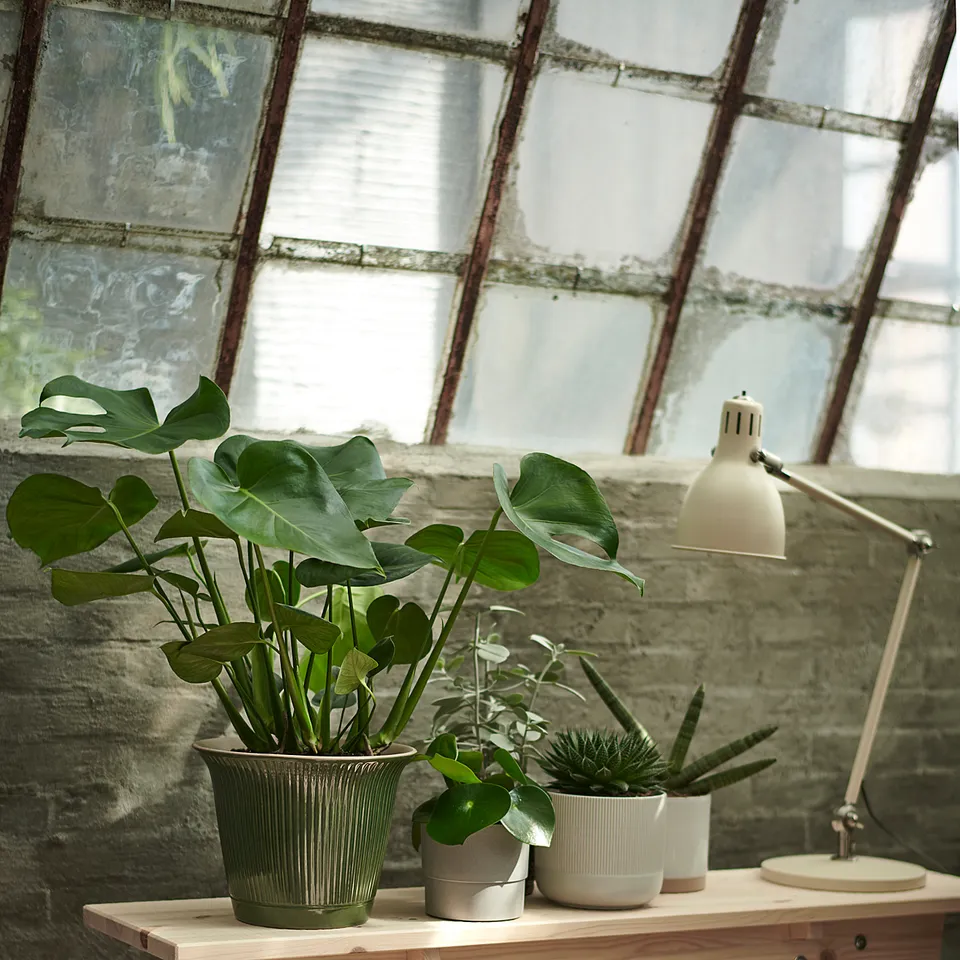 part: GRADVIS plant pot