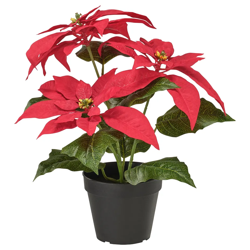 VINTERFINT red poinsettia in black pot, artificial, lush leaves, festive.