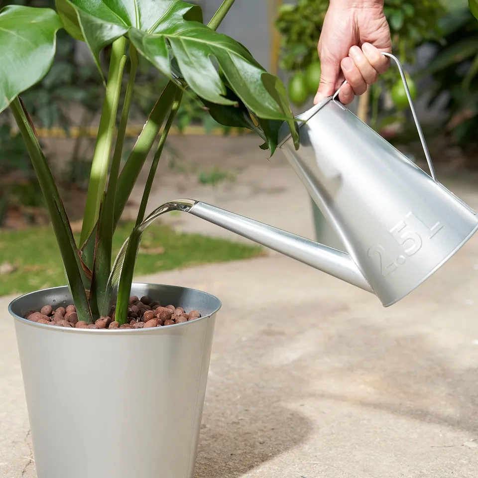 Watering plant with ÅKERBÄR can.