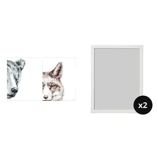 picture + frame ×2 set: poster + frame ×2