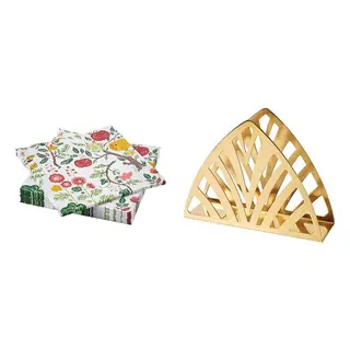 HAVSBRAXEN/TILLSTÄLLNING set: paper napkin + napkin holder