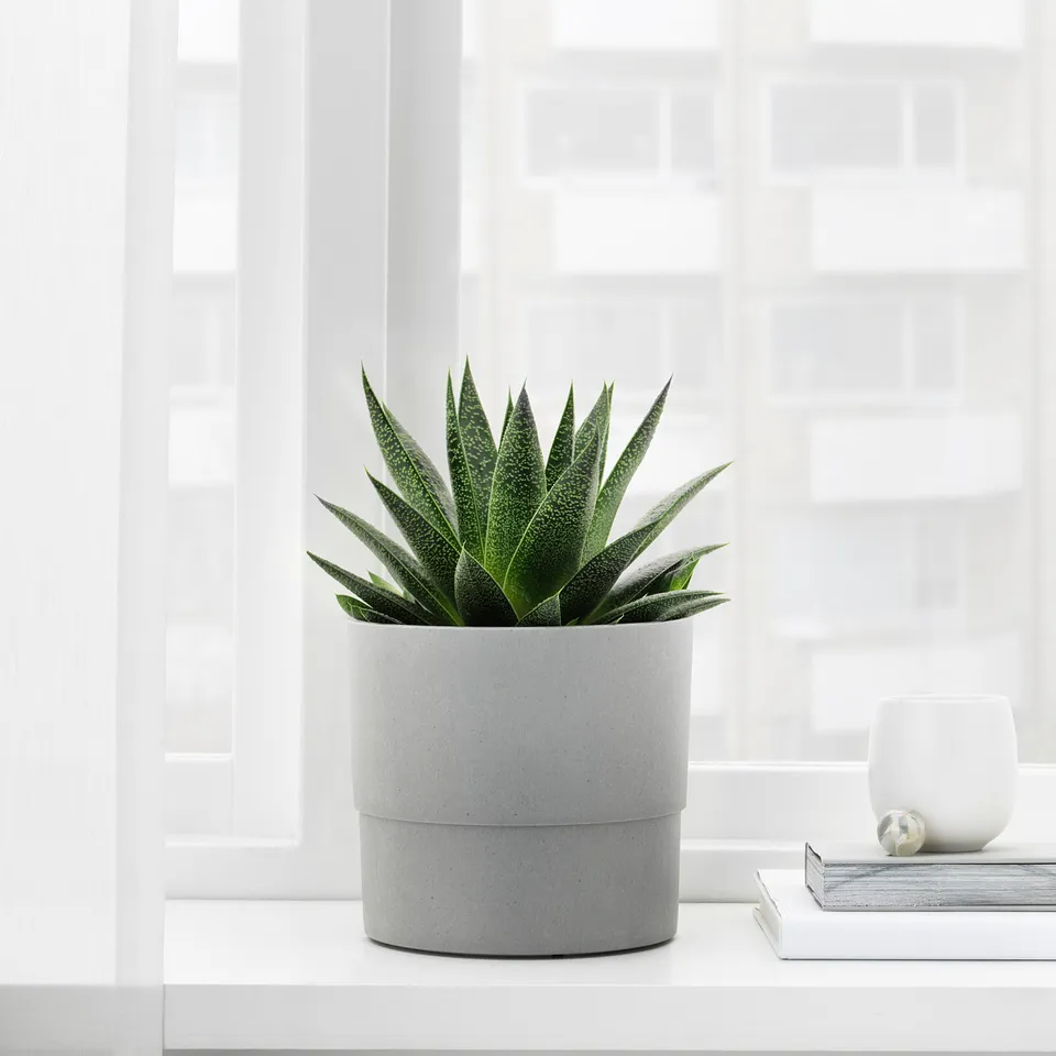 part: NYPON plant pot