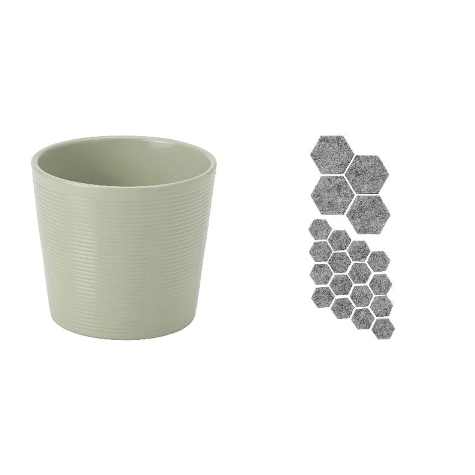 BROKSPIREA/TRIXIG, photo 1