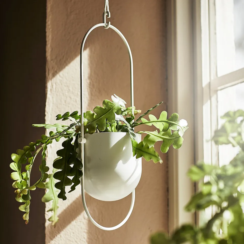 part: CHILISTRÅN hanging planter