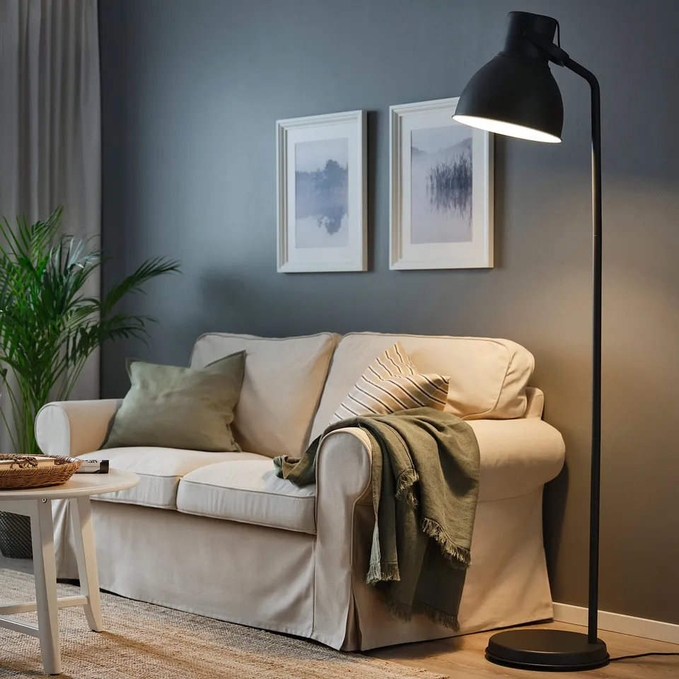 HEKTAR in a room