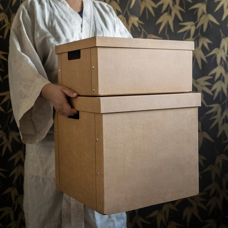 Person holding two stacked beige boxes, likely for storing and organising papers, gadgets, or desk accessories. Handles for easy carrying.