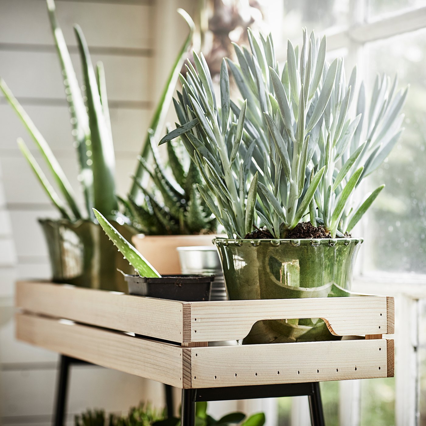 part: VANILJSTÅNG plant stand