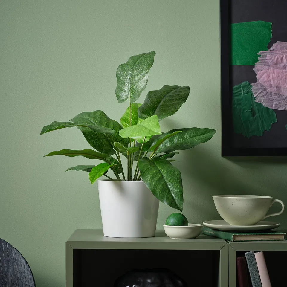 FEJKA plant, cup, bowl on green shelf, wall art.