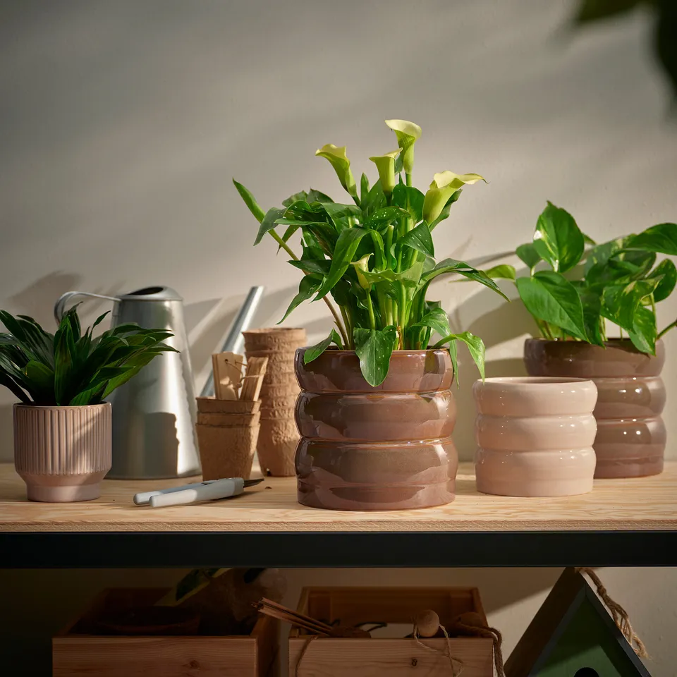 part: HASSELBUKETT plant pot