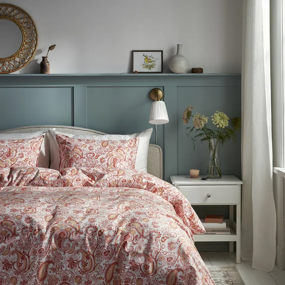 RODGERSIA in a room