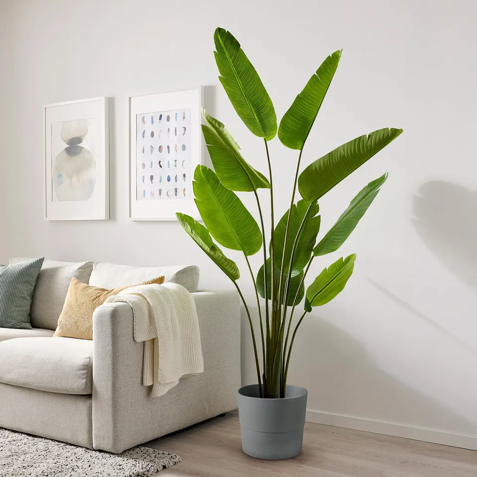 Modern living room with white couch, grey FEJKA plant, white blankets & art on wall.