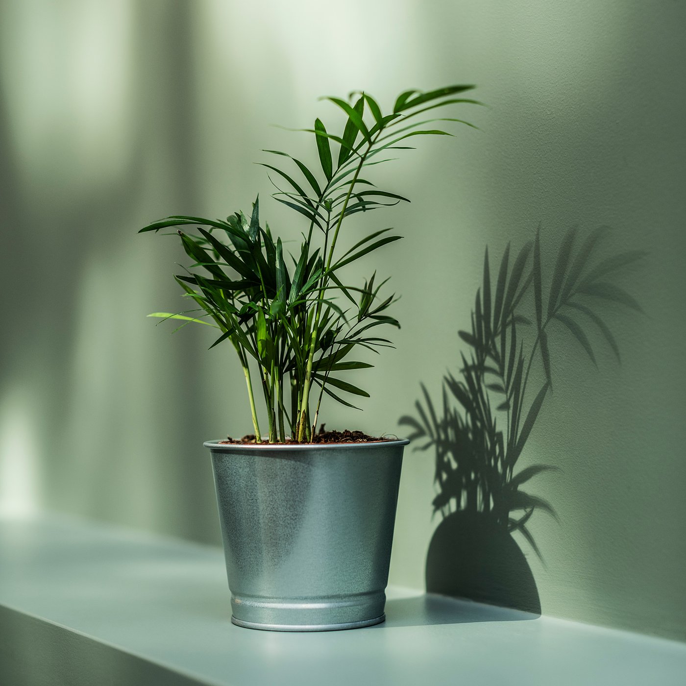part: BINTJE plant pot
