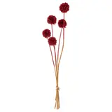 TORKA dried parts of flowers/plants, bunch/scabiosa red, Height 40 cm