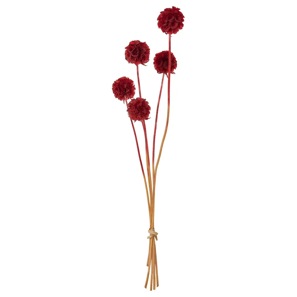part: TORKA dried parts of flowers/plants