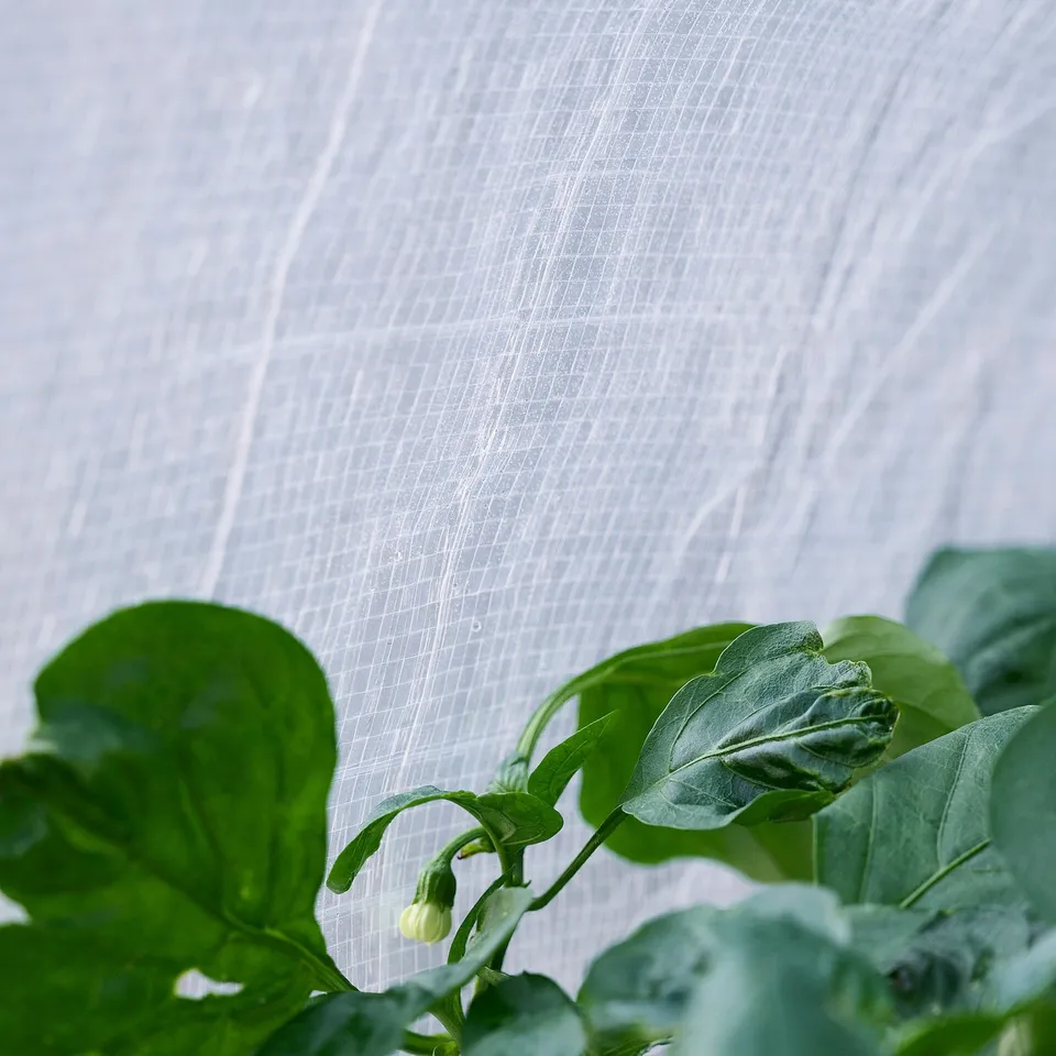 part: ASPAREN cover for planter