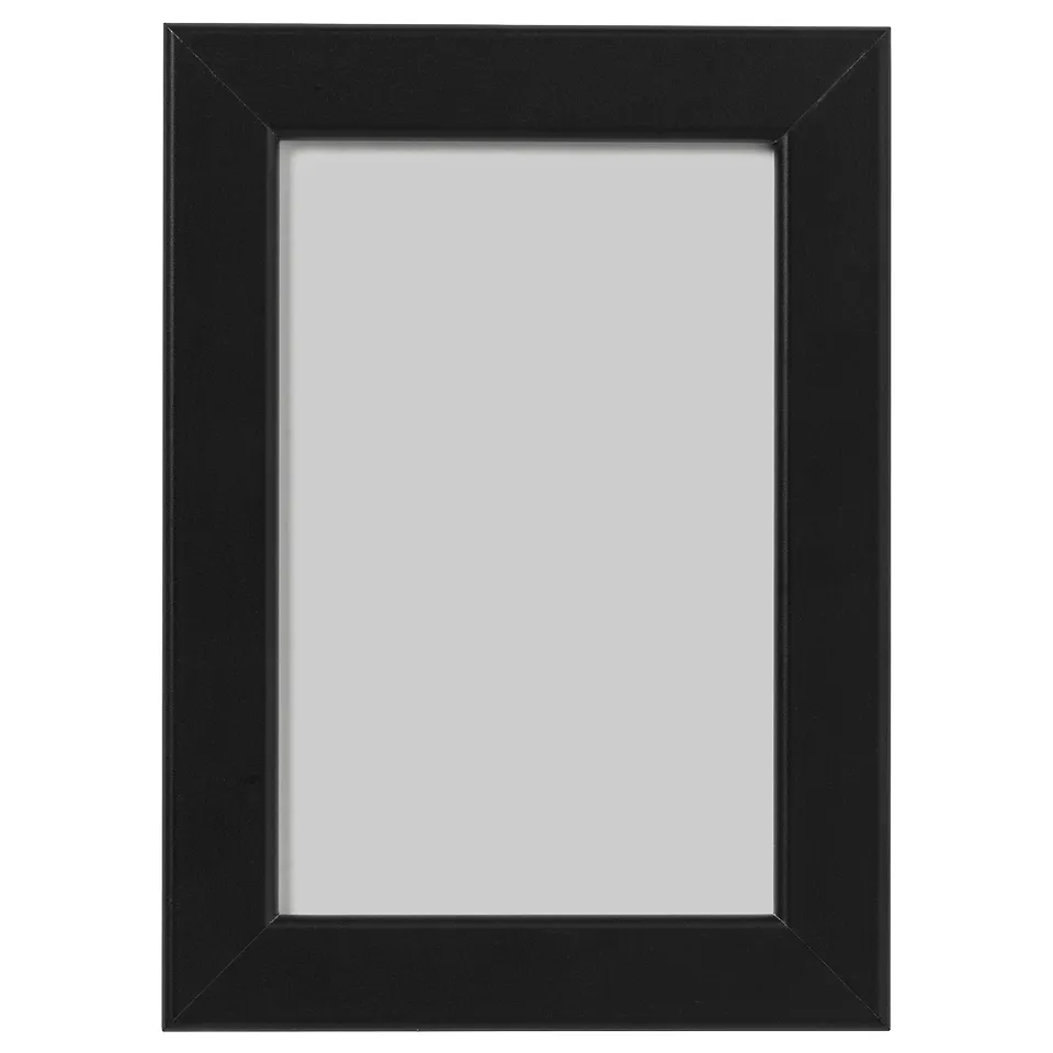 part: FISKBO frame
