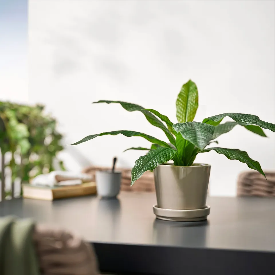 part: FEJKA artificial potted plant