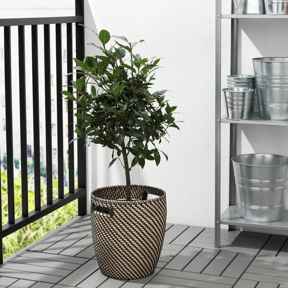 part: RÅGKORN plant pot