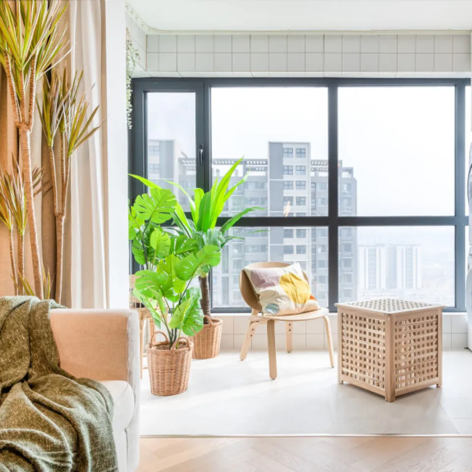 HOL, photo 6