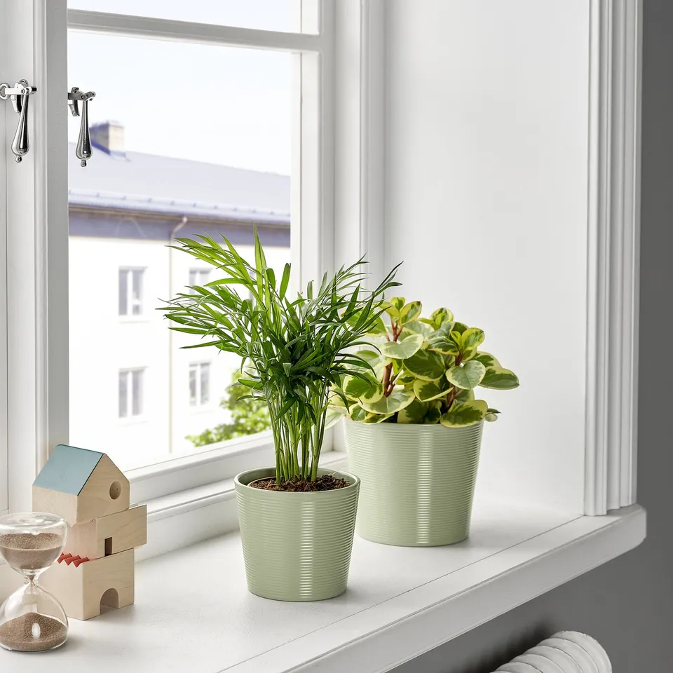 part: BROKSPIREA plant pot