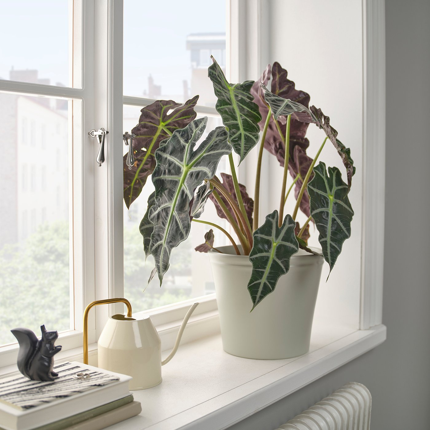 part: KÖRSBÄRSBJÖRK plant pot