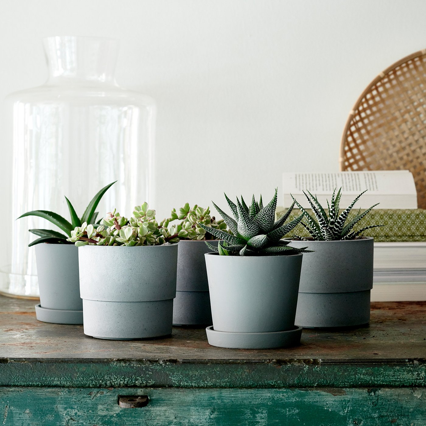 part: NYPON plant pot
