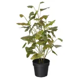 FEJKA artificial potted plant, in/outdoor Butterfly plant, 9 cm