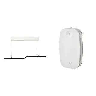 PILSKOTT/RODRET set: LED pendant lamp + wireless dimmer/power switch