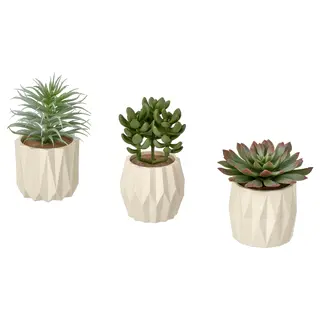 FEJKA artificial potted plant, set of 3, in/outdoor Succulent/off-white