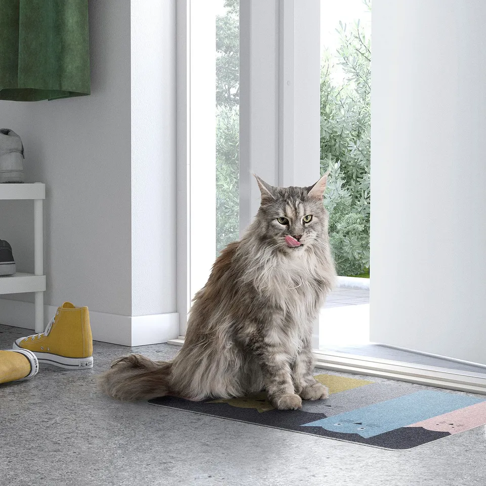Long-haired cat sits on multicolor TURISTVÄG mat near yellow shoes. Mat is rectangular, colourful, and fits well by the door.