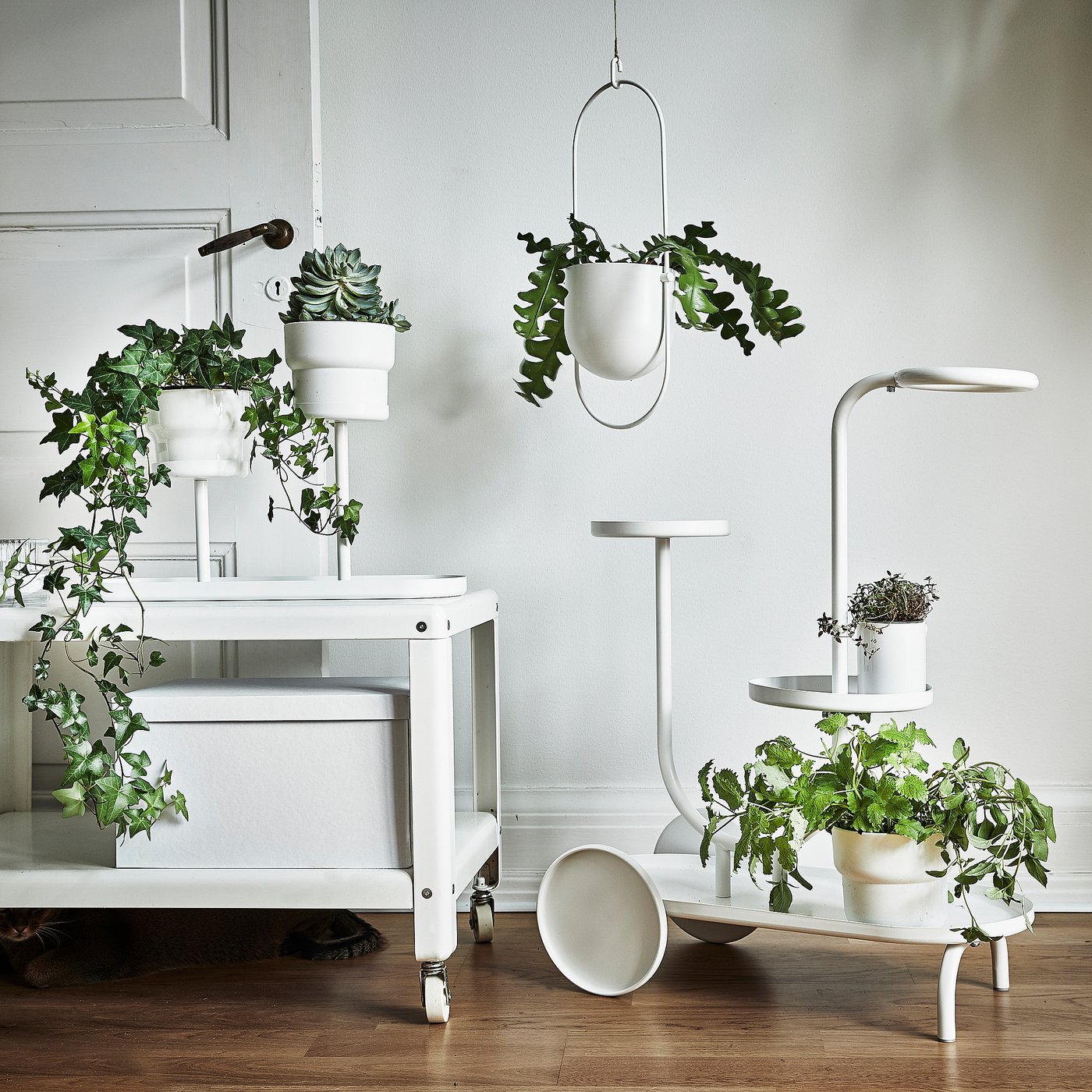 part: CHILISTRÅN hanging planter