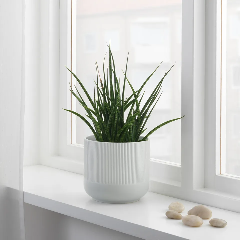 part: GRADVIS plant pot