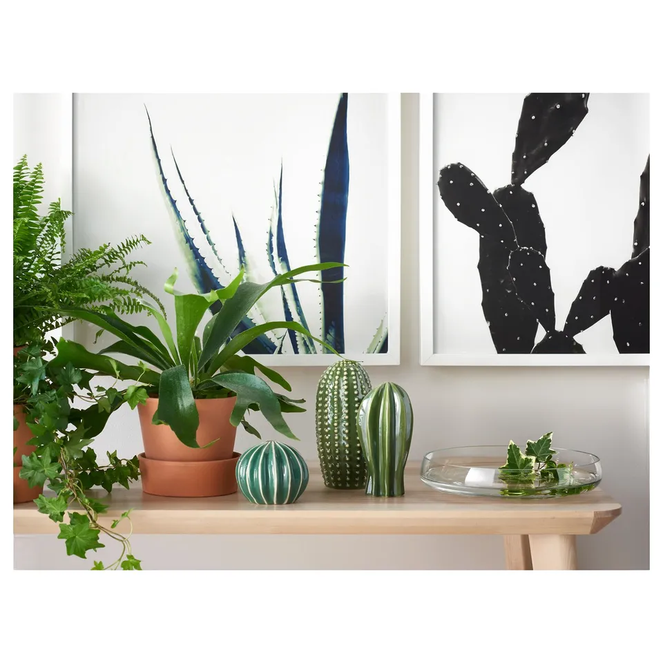 Shelf with plants, cacti, art: green plants, blue decor, cactus prints.