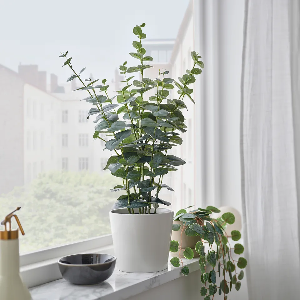 FEJKA/SOJABÖNA, photo 1