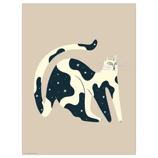 BILD poster, cat of the night, Width 30 x Height 40 cm