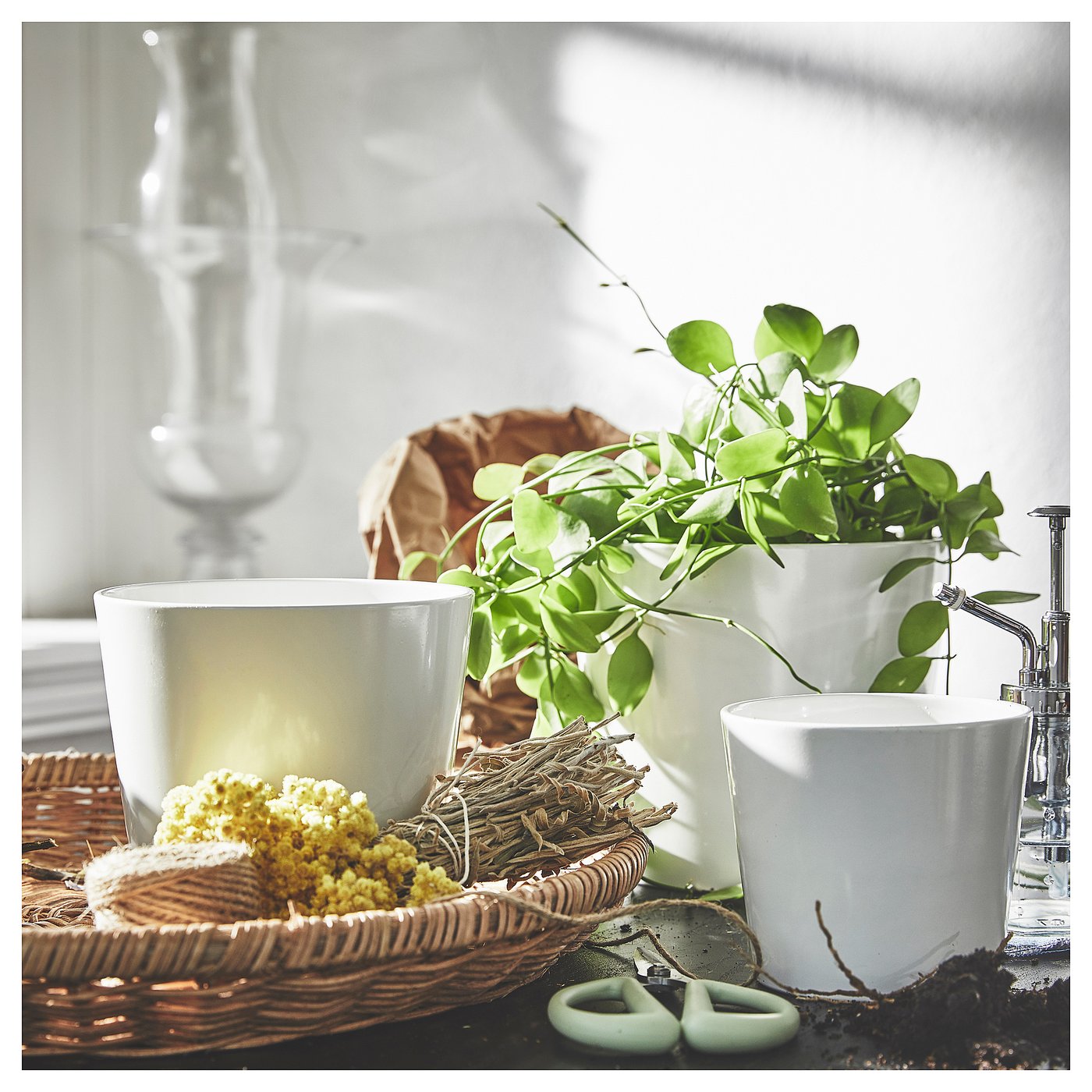 part: SOJABÖNA plant pot
