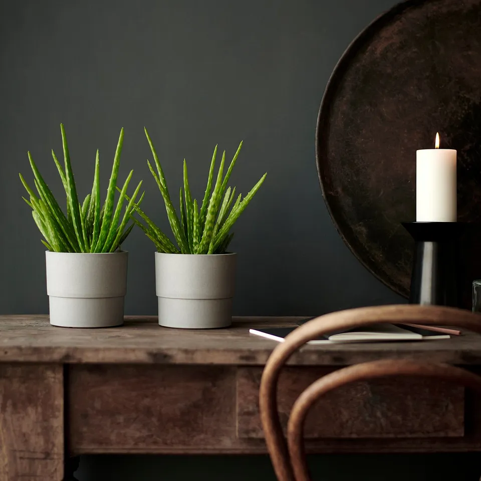 part: NYPON plant pot