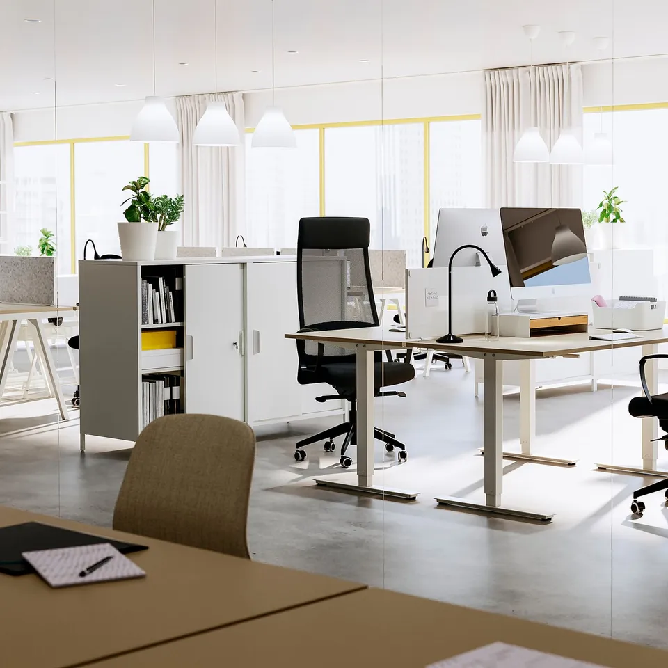 Modern office space with adjustable desks, ergonomic chairs, computers, and cabinets. Bright lighting and plants for a welcoming environment.