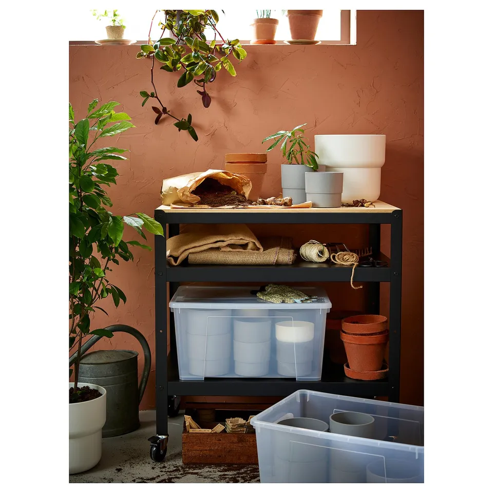 Black metal cart with shelves, clear bins, plant pots, tools, large plant, watering can on table against coral wall.