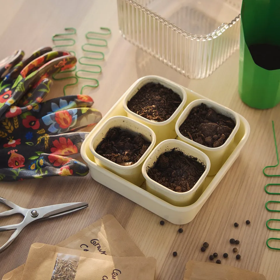 DOFTRIPS in a room