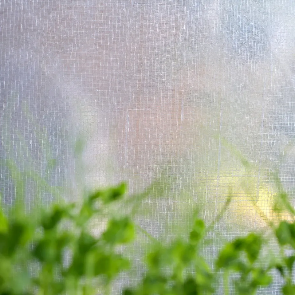 Blurry green balcony garden through frosty, white++. ASPAREN greenhouse shapes silhouette.