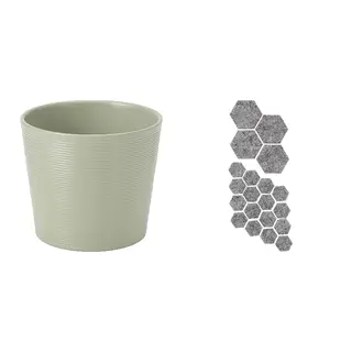 BROKSPIREA/TRIXIG
