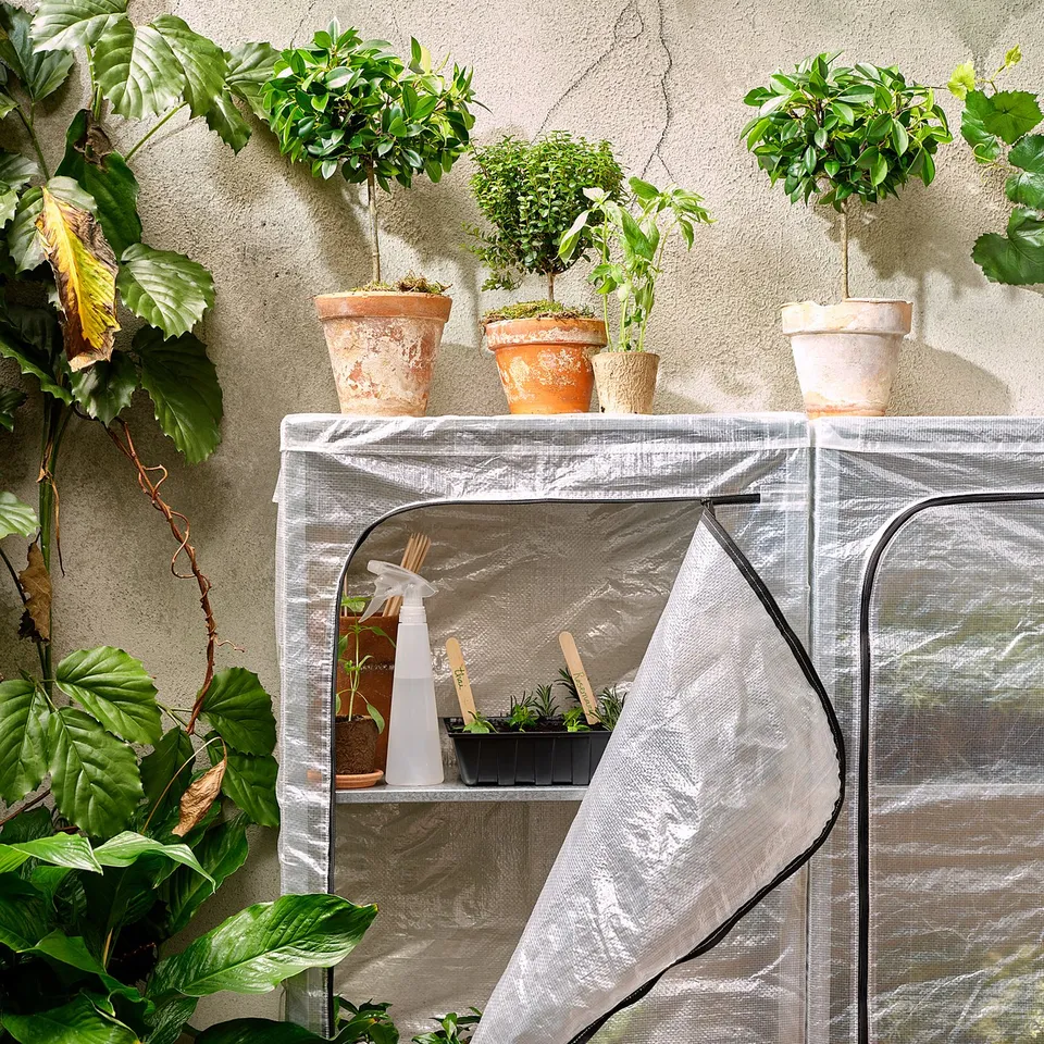 Small indoor greenhouse with various potted plants on shelves and a transparent plastic cover.