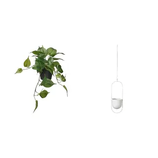 artificial potted plant + pot set: artificial potted plant + hanging planter