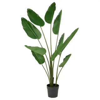 FEJKA artificial potted plant, in/outdoor/Bird of paradise, 23 cm