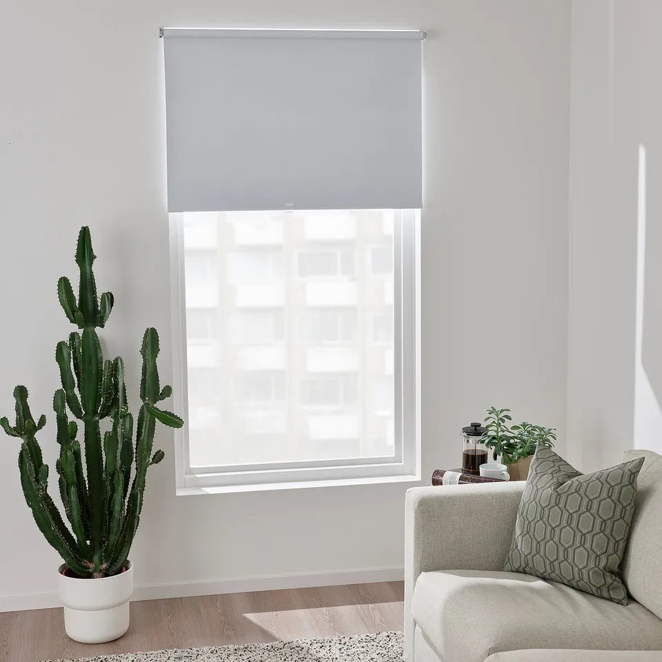 Modern room with FÖNSTERBLAD blind, couch, geometric pillow, large cactus, cosy.