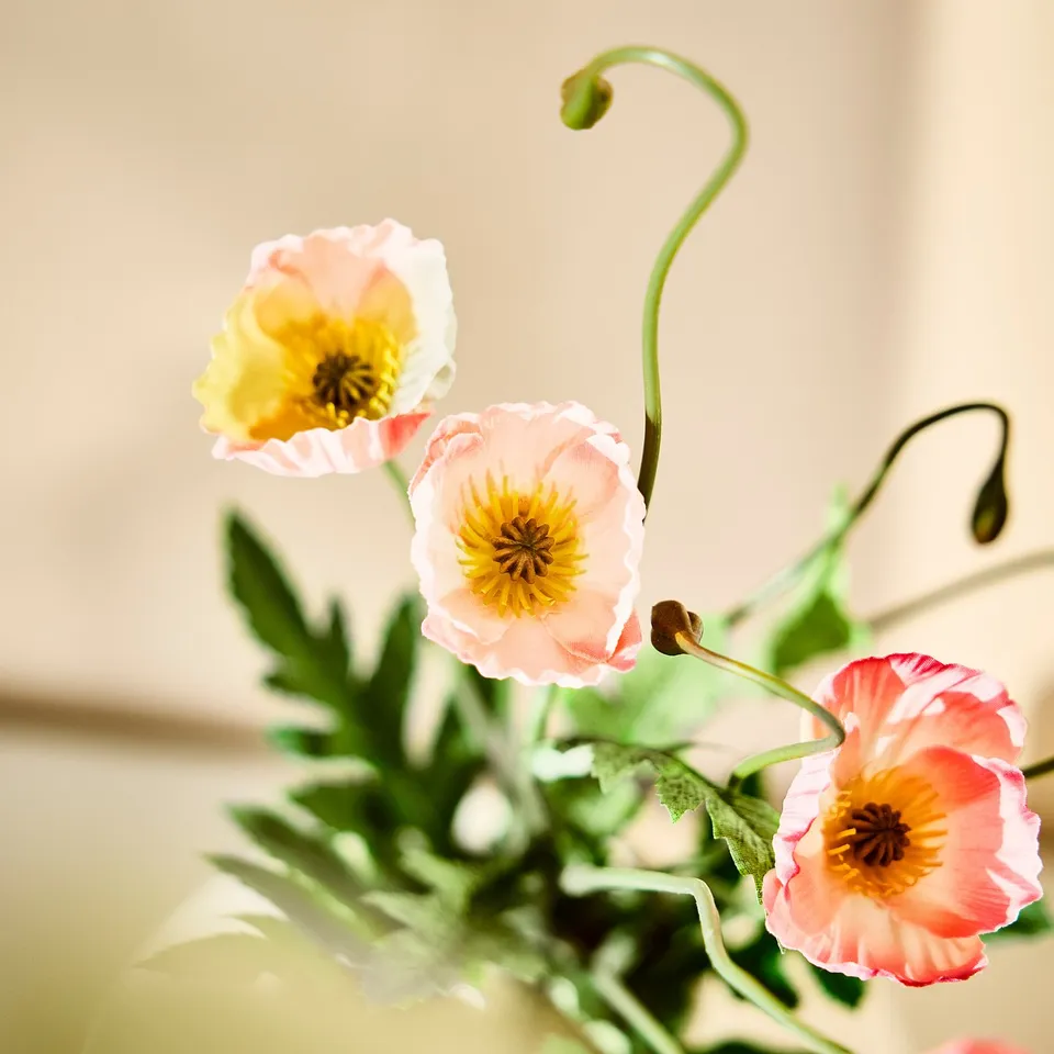 SMYCKA Artificial bouquet, Poppy in/outdoor/orange, 36 cm